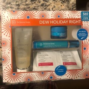 Dr Dennis Gross Dew holiday right